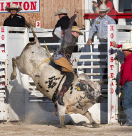FEATURE - Rodeo Meisterschaft in Homestead