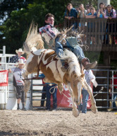 FEATURE - Rodeo Meisterschaft in Homestead