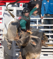FEATURE - Rodeo Meisterschaft in Homestead