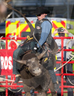 FEATURE - Rodeo Meisterschaft in Homestead