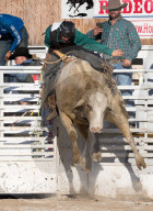 FEATURE - Rodeo Meisterschaft in Homestead