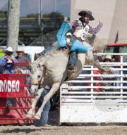 FEATURE - Rodeo Meisterschaft in Homestead