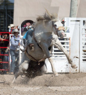 FEATURE - Rodeo Meisterschaft in Homestead