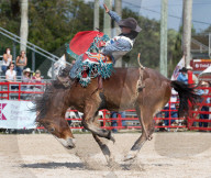 FEATURE - Rodeo Meisterschaft in Homestead
