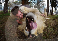 FEATURE - Löwen lächeln im Zambi Wildlife Park in Sydney