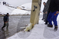 FEATURE - Entenkampf in Kroatien