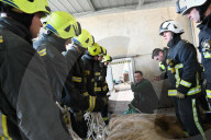 FEATURE - Eisbär beim Zahnarzt