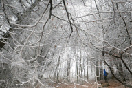 FEATURE - Eisiges Wetter in Derbyshire