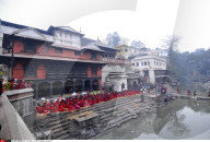 NEWS -  Nepal: Swasthani Brata Katha Festival