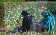 NEWS - Pakistan: Tulpenausstellung in Lahore