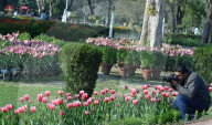 NEWS - Pakistan: Tulpenausstellung in Lahore