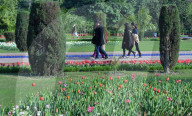 NEWS - Pakistan: Tulpenausstellung in Lahore