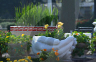 NEWS - Pakistan: Tulpenausstellung in Lahore
