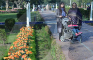 NEWS - Pakistan: Tulpenausstellung in Lahore