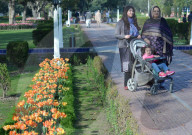 NEWS - Pakistan: Tulpenausstellung in Lahore