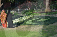 NEWS - Pakistan: Tulpenausstellung in Lahore