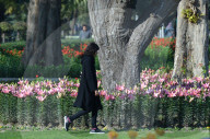 NEWS - Pakistan: Tulpenausstellung in Lahore