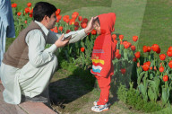 NEWS - Pakistan: Tulpenausstellung in Lahore