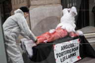 NEWS - Paris: PETA setzt sich für Angorahasen ein