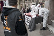 NEWS - Paris: PETA setzt sich für Angorahasen ein