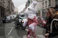 NEWS - Paris: PETA setzt sich für Angorahasen ein