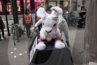 NEWS - Paris: PETA setzt sich für Angorahasen ein