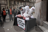 NEWS - Paris: PETA setzt sich für Angorahasen ein
