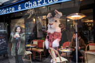 NEWS - Paris: PETA setzt sich für Angorahasen ein