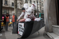 NEWS - Paris: PETA setzt sich für Angorahasen ein
