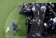 FEATURE - Hundeparade: Westminster Dog Show in New York