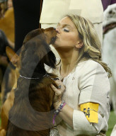 FEATURE - Hundeparade: Westminster Dog Show in New York