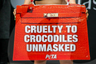 NEWS - PETA-Anhängerinnen demonstrieren an der Londoner Fashionweek