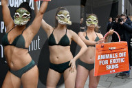 NEWS - PETA-Anhängerinnen demonstrieren an der Londoner Fashionweek