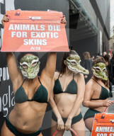 NEWS - PETA-Anhängerinnen demonstrieren an der Londoner Fashionweek