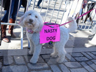 NEWS - USA: Demonstartionen zum 'Not My President's Day'