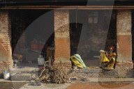 NEWS - Nepal: Das Maha Shivaratri Festival