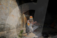 NEWS - Nepal: Das Maha Shivaratri Festival