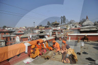NEWS - Nepal: Das Maha Shivaratri Festival