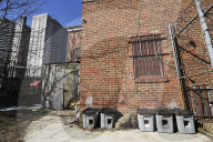 FEATURE - Nancy Regula ist der 'Schutzengel' der Katzen in der Bronx