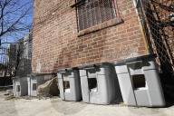 FEATURE - Nancy Regula ist der 'Schutzengel' der Katzen in der Bronx