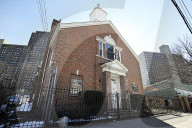 FEATURE - Nancy Regula ist der 'Schutzengel' der Katzen in der Bronx