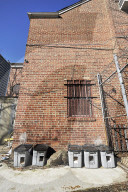 FEATURE - Nancy Regula ist der 'Schutzengel' der Katzen in der Bronx