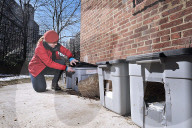FEATURE - Nancy Regula ist der 'Schutzengel' der Katzen in der Bronx