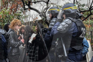 NEWS - Paris: Proteste fÃ¼r Theo - Proteste gegen Polizeigewalt