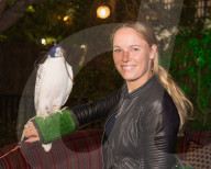 PEOPLE - Dubai: Roger Federer mit weiteren Tennisstars an der 'Duty Free Party'