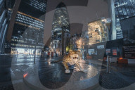 FEATURE - London: Täuschend echt - der Leopard ist los