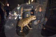 FEATURE - London: Täuschend echt - der Leopard ist los