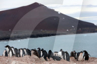 NEWS - Bilder zur Klimaveränderung in der Antarktis