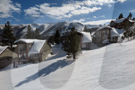 FEATURE - Schneefall in der Sierra Nevada