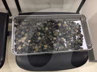 FEATURE - Meeresschildkröte von durch OP verschluckten Münzen befreit